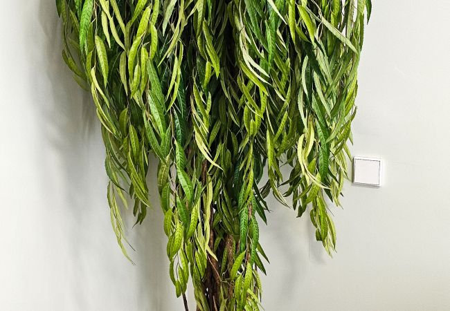 Apartamento en Valencia - Bajo Torrefiel Apartamento en Valencia - Bajo Torrefiel