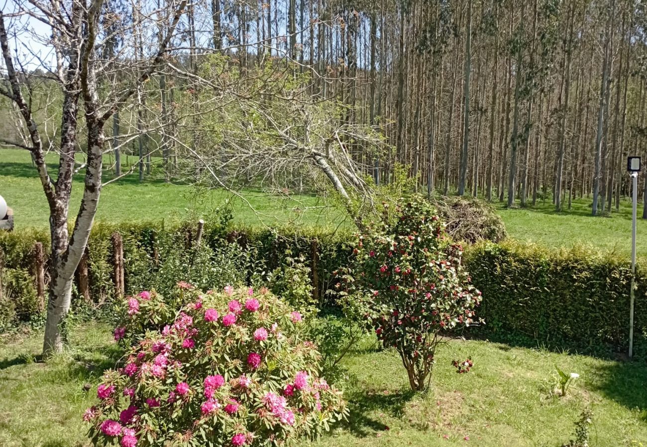 Rent by room in Ordes - Ordes Room 6