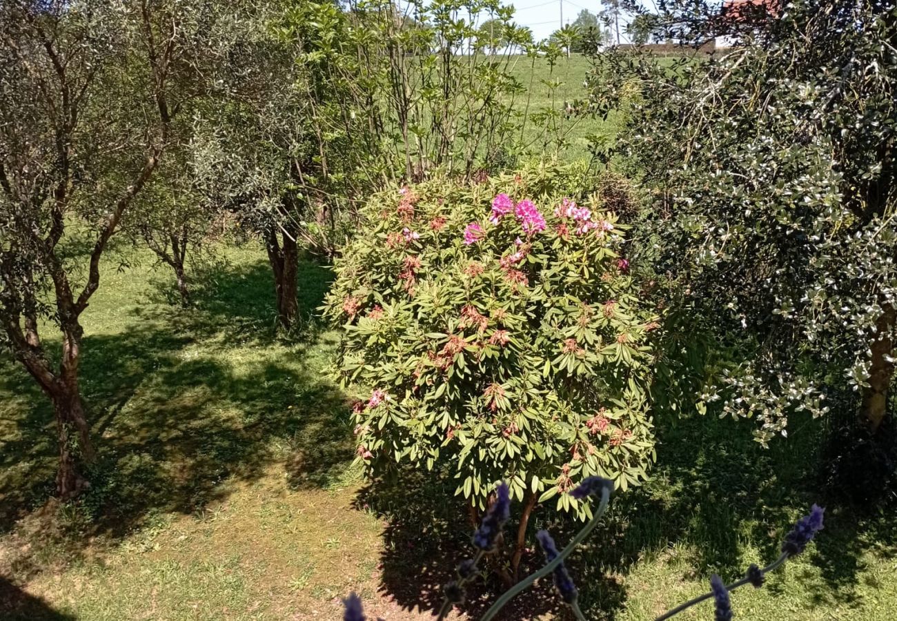 Rent by room in Ordes - Ordes Room 6