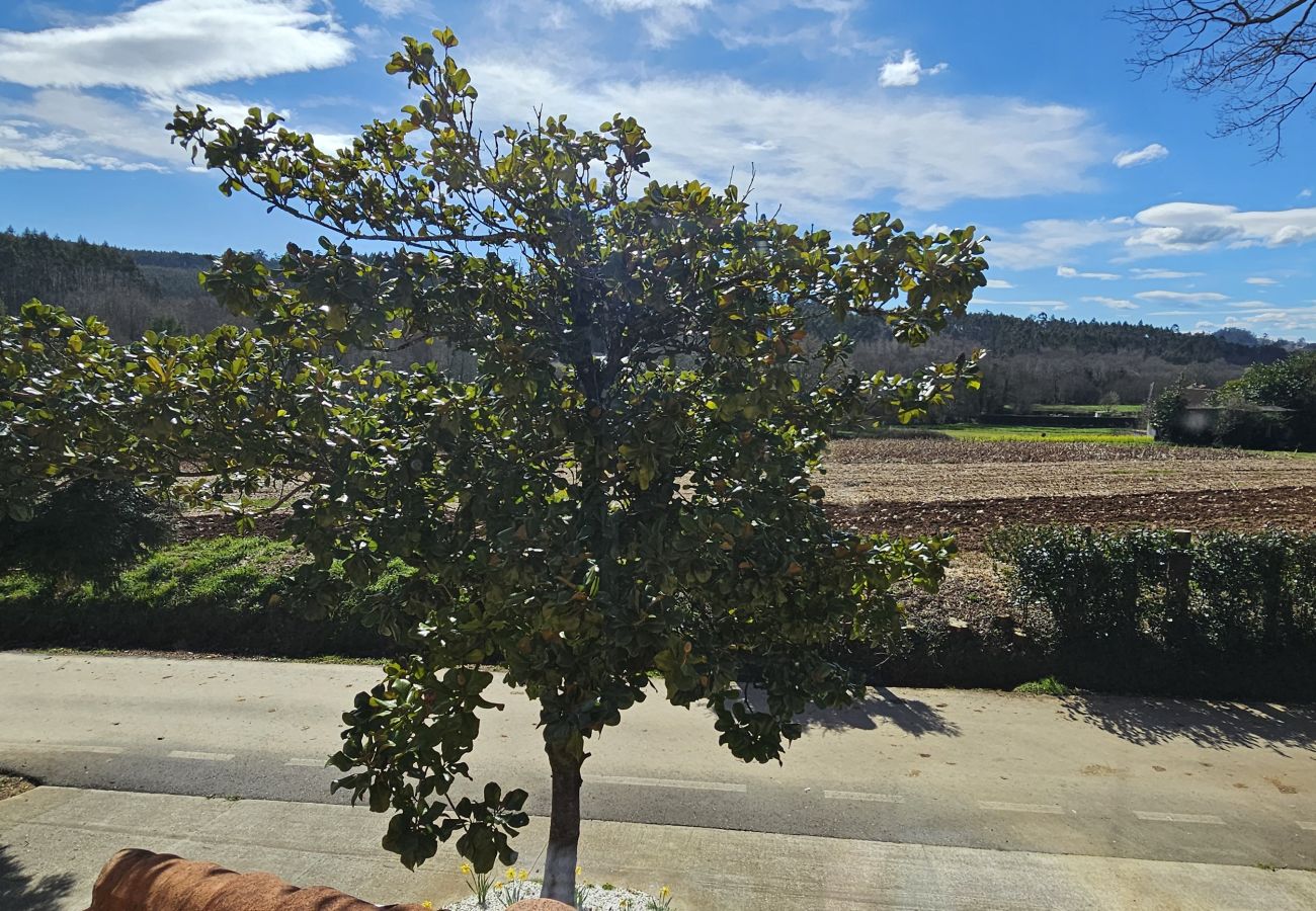 Gîte Rural à Ordes - Casa Do San Paio